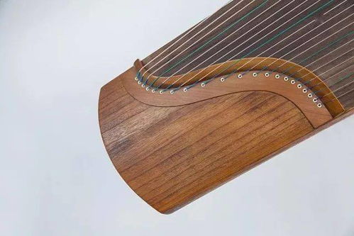 古筝图鉴 陪袁莎教授出镜率超高的是哪款筝