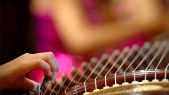 古筝基础指法 古筝 申月华 跟谁学