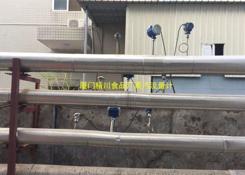 探讨食品厂蒸汽成本核算及蒸汽流量计选型厦门精川
