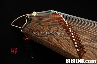 筝炫 香港古筝网 提供全港古筝资讯 古筝产品及销售,大量现货齐备,24小时专业古筝谘询服务,欢迎预约试筝