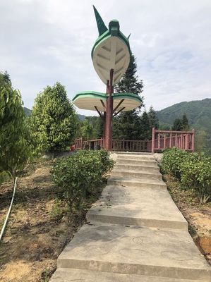 来韶关,与茗茶邂逅,与春天同行