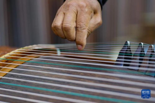 河南兰考 乐器村里古筝扬，奏响乡村振兴新乐章