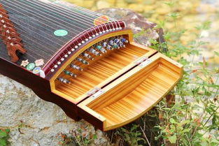 如何挑选一把适合自己的古筝？新手入门选购指南