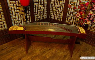 金声古筝加盟指南 传承国乐经典，开启艺术事业新篇章